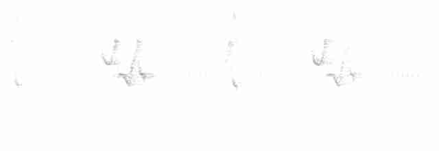Чешуегорлый колибри-отшельник - ML616490098