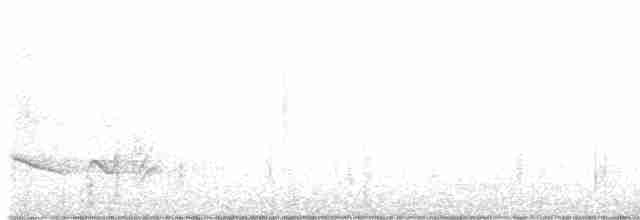 Doğulu Mavi Ardıç - ML616490410