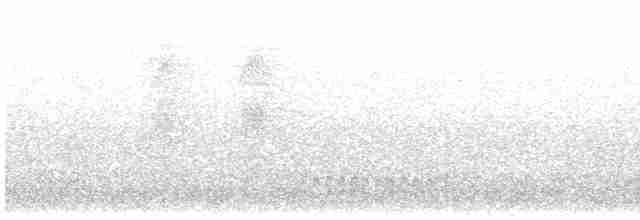 Sooretama Slaty-Antshrike - ML616491829