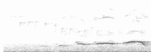 svartstrupelattertrost (chinensis gr.) - ML616492854