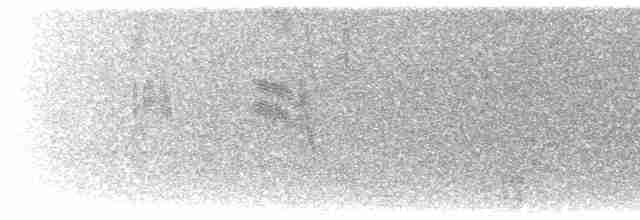 Малая воробьиная овсянка - ML616493050