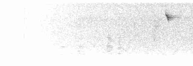 Streifenrückenammer [petenica-Gruppe] - ML616494350