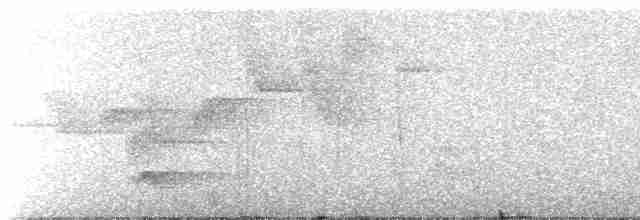 オジロキヌバネドリ（surrucura） - ML616494705
