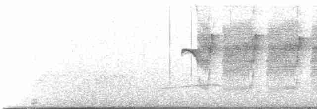 Rufous-tailed Antbird - ML616494746