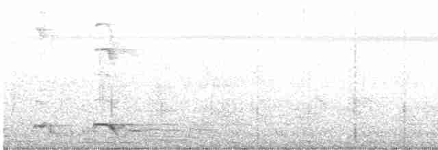 svartnakkepirol - ML616495659