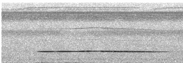 Little Tinamou - ML616496380