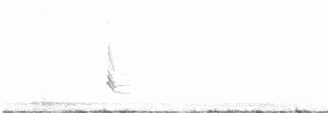 Batılı Mavi Ardıç - ML616496673