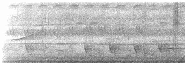 Орел-чубань індійський - ML616496875