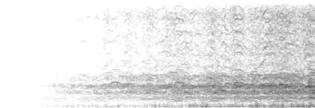 Малая канадская казарка (minima) - ML616496911