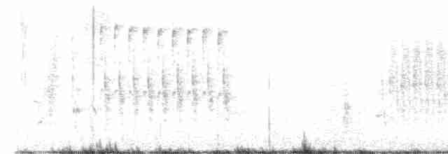 Troglodyte des marais - ML616497118