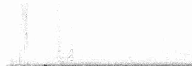 Крячок чорнодзьобий - ML616497132