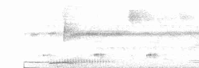 Kısa Gagalı Kızılca Güvercin - ML616497369