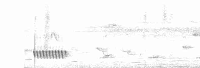 Kara Gerdanlı Çıtkuşu - ML616497392