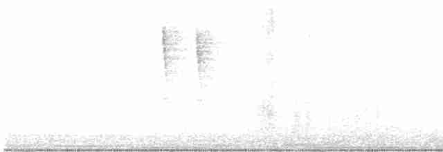 Troglodyte de Baird - ML616497565
