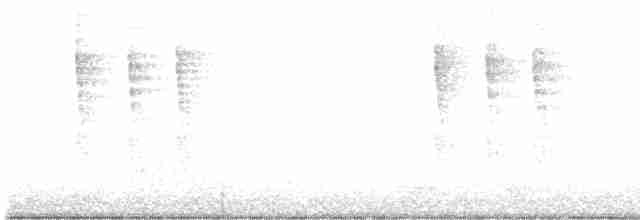 Тихоокеанский крапивник - ML616497566