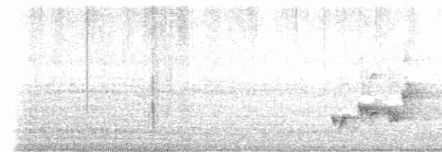 Короткокрылая камышевка - ML616498622