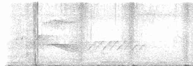 Белоухая сибия - ML616498645