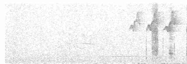 Серогорлая зарничка - ML616498758