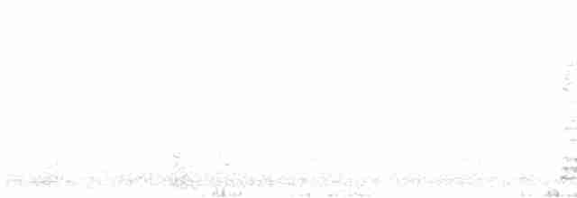 Kara Leş Kargası - ML616499043