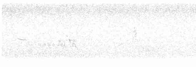 topplerke (cristata gr.) - ML616499670