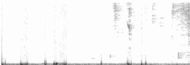 Little Ringed Plover - ML616499981