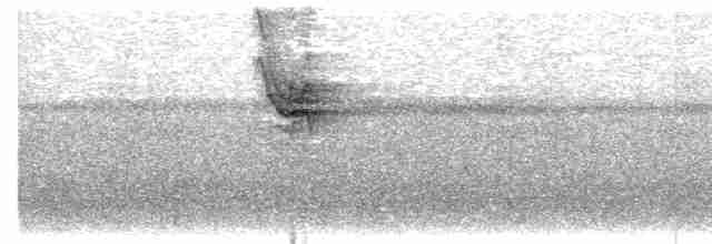 Тапіранга білодзьоба - ML616500049