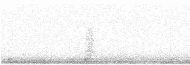 Чапля сіра (підвид cinerea/jouyi) - ML616500259