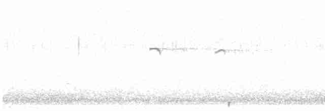 Common Kingfisher (Common) - ML616500265