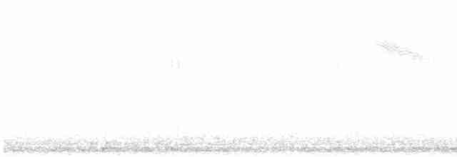 ワキアカツグミ（iliacus） - ML616500271