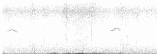 Common Chiffchaff (Siberian) - ML616502413