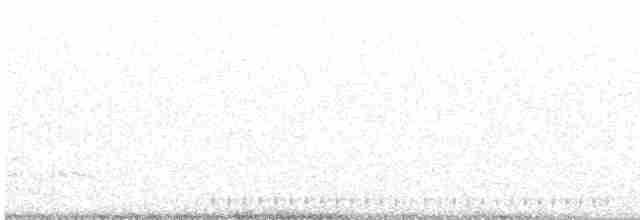 Черноспинный трёхпалый дятел - ML616502888