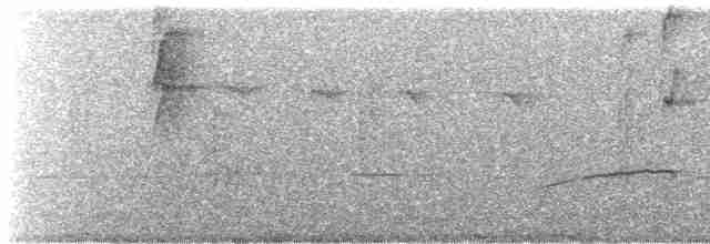 Тиран-крихітка світлогорлий - ML616503012