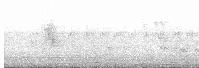 黑頭文鳥 - ML616503047