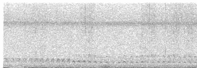 White-tailed Trogon - ML616504204