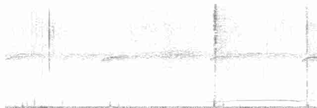holub neotropický - ML616504555