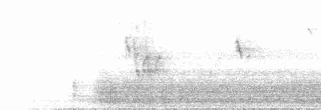 White Wagtail - ML616504594