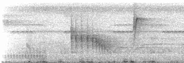 Kestane Kanatlı Çalı Timalyası - ML616504985