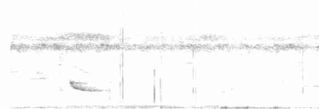 Graubrust-Olivtyrann - ML616505744