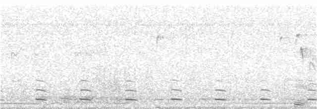 Great Grebe - ML61650821