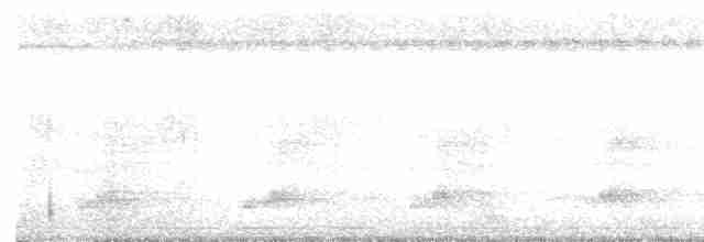 Toucan à carène - ML616508384
