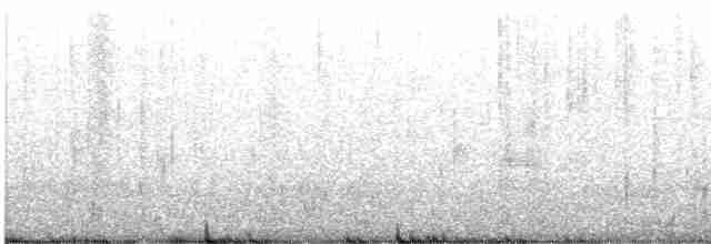 Мангровый виреон (approximans) - ML616509747
