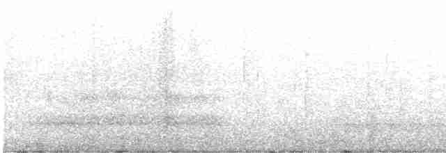 Мангровый виреон (approximans) - ML616509748