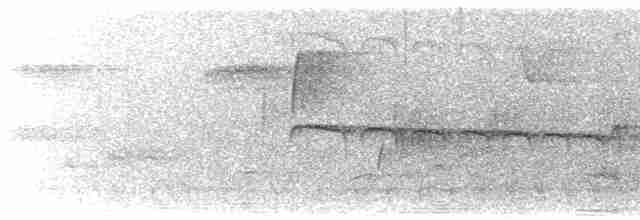 Тиран-карлик жовточеревий - ML616510652