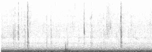 Mangrove Cuckoo - ML616511597