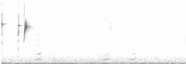 Porsuk Serçesi (leucophrys/oriantha) - ML616512683