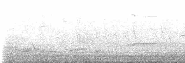 Лебедь-шипун - ML616513778