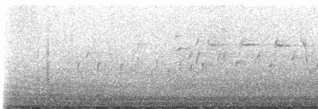 疣鼻天鵝 - ML616513902