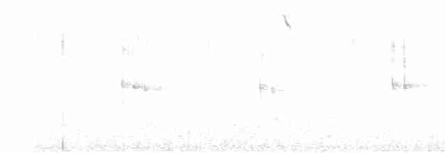 White-throated Treerunner - ML616514646