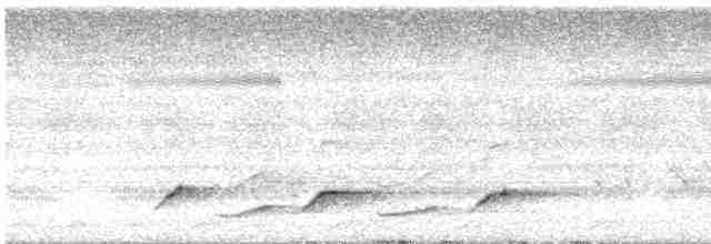 Maun Başlıklı Gevezeardıç - ML616515028