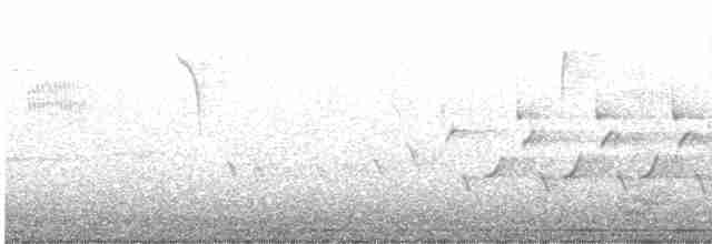 Karolina Çıtkuşu - ML616515667